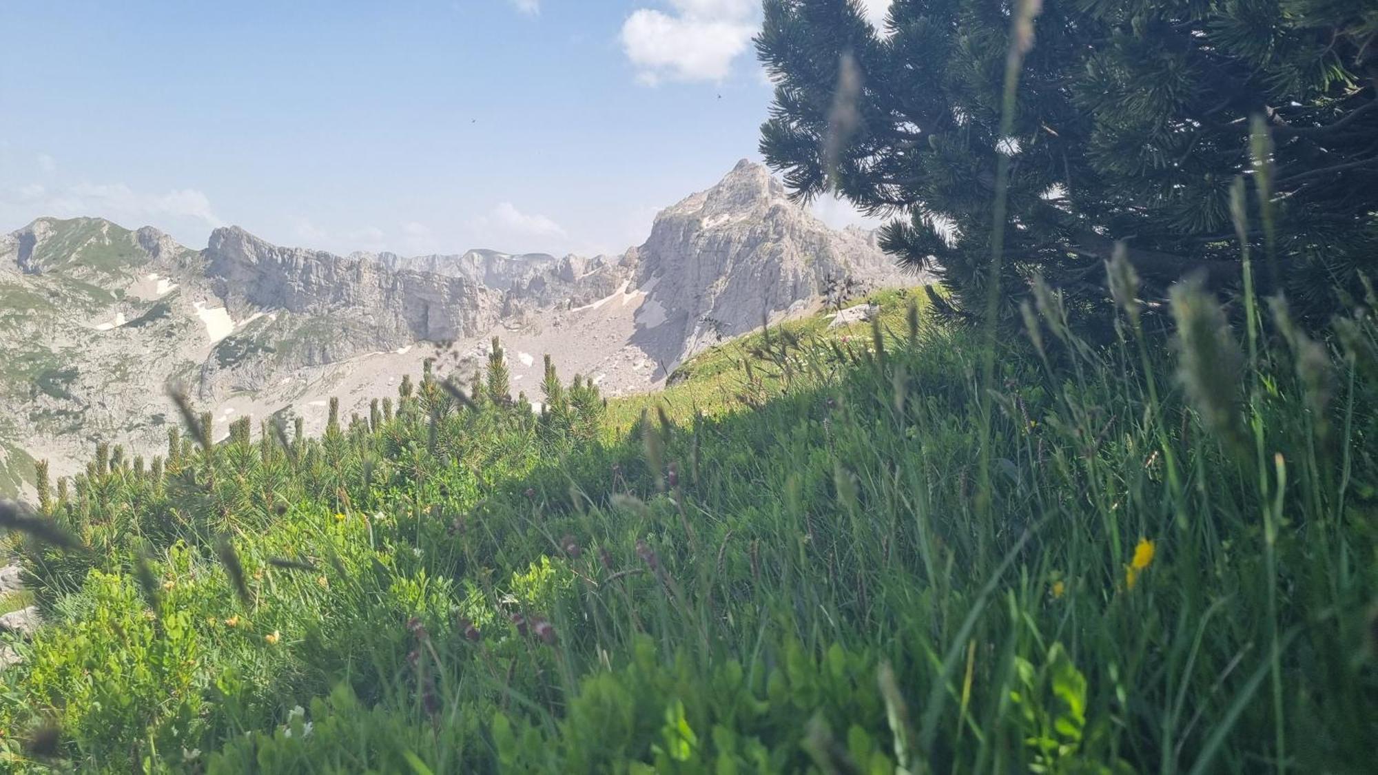 Durmitor Glamp Hotel Žabljak Exterior foto